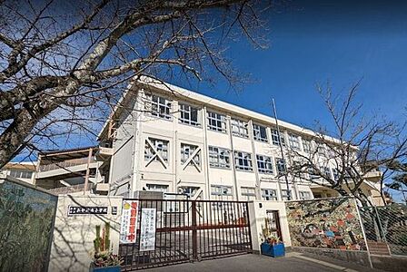 あやめ池小学校 530m