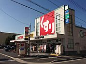 スギ薬局 清水口店（307m）