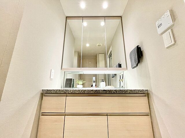 洗面 パークタワー晴海 13階/-