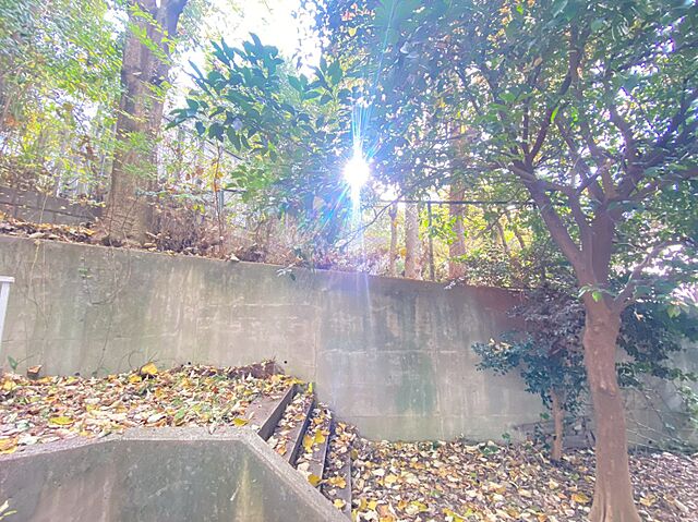 バルコニー パイロットハウス北新宿 1階/-