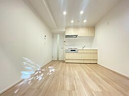 パイロットハウス北新宿 1LDKの室内