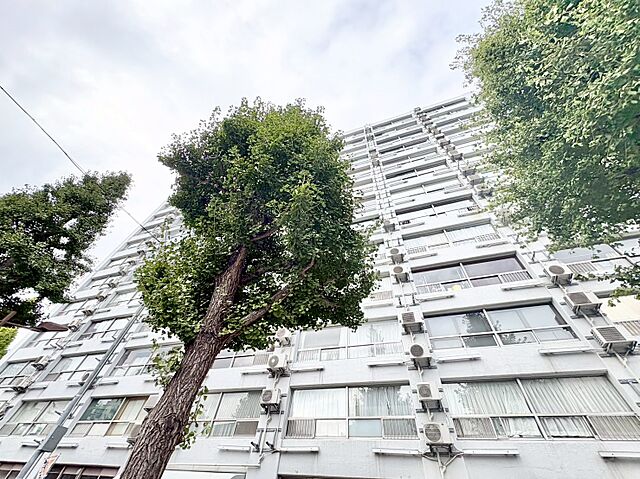 外観 湯島ハイタウンＢ棟 8階/-