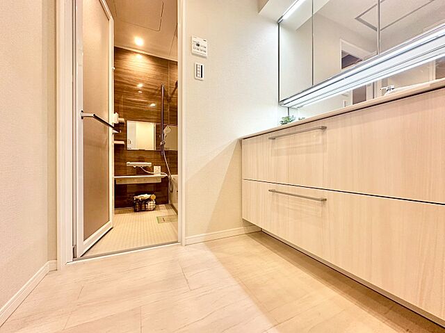 洗面 晴海アイランドトリトンスクエアビュータワー 43階/-