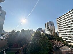 眺望や窓からの景色が良いと、家で過ごす時間も快適です。