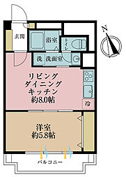 ハイコーポ松が谷 1LDKの間取図画像