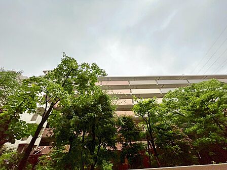陽当たり・通風・開放感に恵まれた環境です。