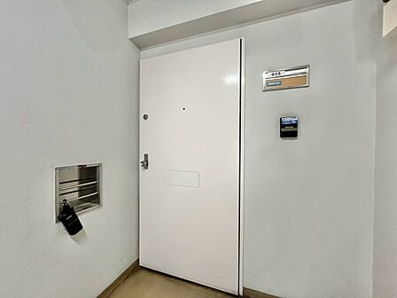 清潔感のある落ち着いた雰囲気の玄関です。
