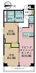 中野新橋ヒミコセラン