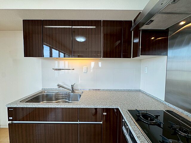 キッチン ファーストリアルタワー新宿 25階/-