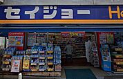 くすりセイジョー 洗足池店（488m）