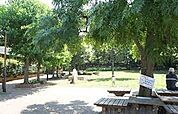 世田谷区立 ねこじゃらし公園（282m）