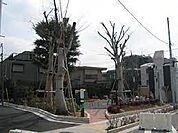 経堂けやき公園（343m）