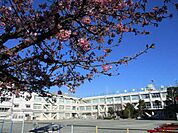 世田谷区立等々力小学校（640m）