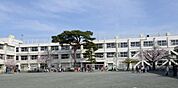 世田谷区立玉川小学校（612m）