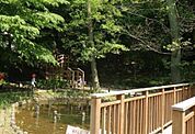 上野毛自然公園（601m）
