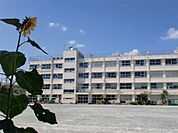 世田谷区立太子堂中学校（817m）
