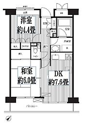 ステラメゾン武蔵小山 2DKの間取図画像