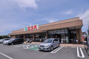 エコス 市川島尻店（586m）
