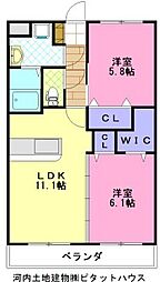 Y&Mアミティエ 2LDKの間取図画像
