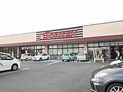 その他「とりせん細谷店まで1300m」