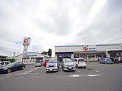ドラッグストア 「カワチ薬品 戸祭北店まで2590m」