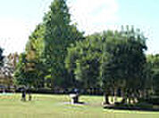 公園「明保野公園まで1737m」