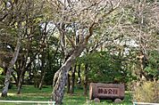 公園「さくら市勝山公園まで951m」