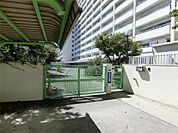 堀江第二保育園（469m）