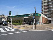 マルエツ 東新小岩店（274m）