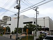 OK（オーケー） 亀戸店（437m）