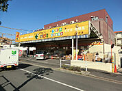 どらっぐ ぱぱす 青戸店（147m）