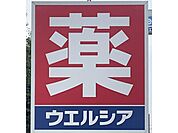 ウエルシア伊勢崎境町店 860m