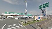 エバグリーン 狭山店（241m）