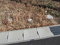 三重県鈴鹿市南玉垣町2417-2：物件画像