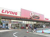 オークワ高石羽衣店 924m