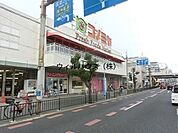 コノミヤ堺東店 544m