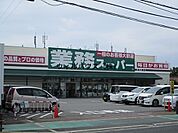 業務スーパー泉大津店 2036m