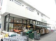 イケチュー羽衣店 722m