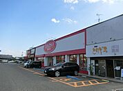 ザ・ダイソー大阪狭山くみの木店 1106m