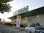 業務スーパー中百舌鳥店 521m