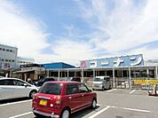 ホームセンターコーナン金岡蔵前店 1491m