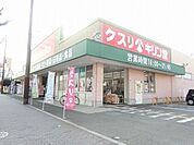キリン堂百舌鳥梅町店 606m
