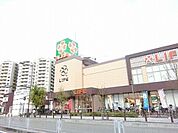 ライフ堺駅前店 698m