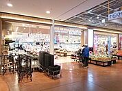 コーヨー堺店 1239m