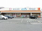 ウエルシア堺長曽根店 266m