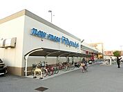 万代堺土師店 852m