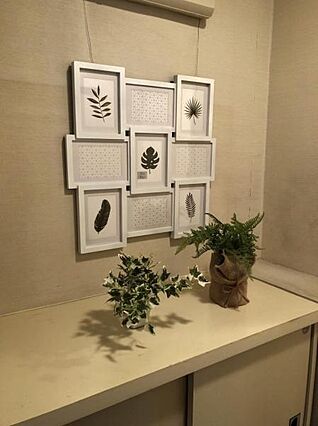 現況写真です。