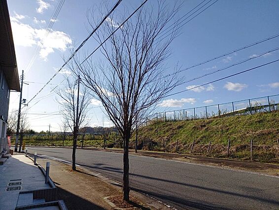 プランドールS_その他_3