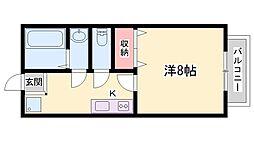 ハイツイワサキ 1階/-