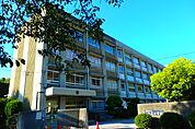 八木小学校